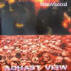  Aghast View - Nitrovisceral - 1994